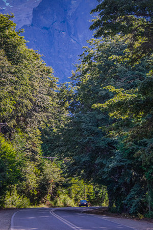 Highway surrounded by forest landscape at nahuel huapi national park, rio negro province, patagonia, argentinaの写真素材