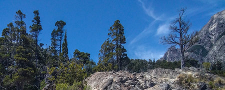 Panoramic landscape at nahuel huapi national park, rio negro province, patagonia, argentinaの写真素材