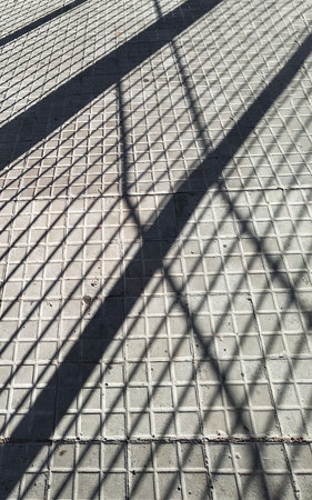 High angle view tree branches shadows over sidewalk, montevideo city, uruguayの写真素材