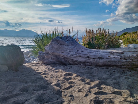 Sunny summer day landscape at one of the beaches of bariloche, nahuel huapi national park, rio negro province, argentina.の写真素材