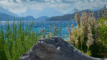 Sunny summer day landscape at one of the beaches of bariloche, nahuel huapi national park, rio negro province, argentina.の写真素材