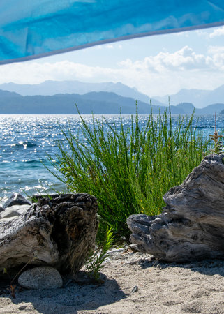 Sunny summer day landscape at one of the beaches of bariloche, nahuel huapi national park, rio negro province, argentina.の写真素材