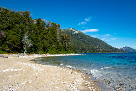 Sunny summer day landscape at one of the beaches of bariloche, nahuel huapi national park, rio negro province, argentina.の写真素材
