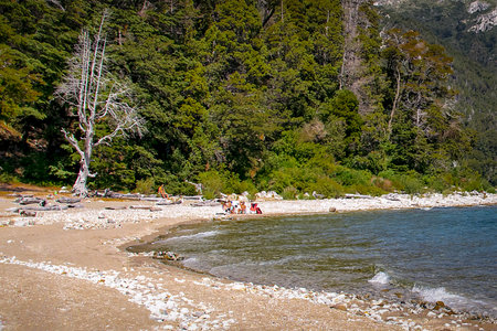 Sunny summer day landscape at one of the beaches of bariloche, nahuel huapi national park, rio negro province, argentina.の写真素材