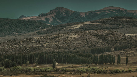 Steppe and andes mountains at background landscape, nahuel huapi park rio negro province, patagonia, argentinaの写真素材