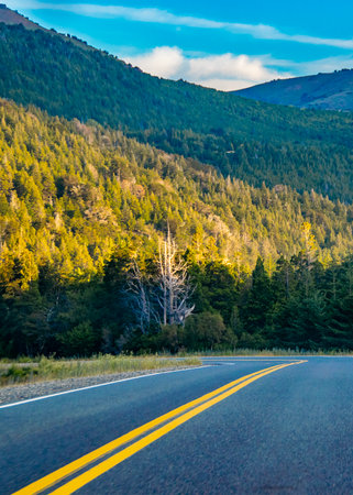 Empty modern highway crossing patagonian landscape, patagonia, argentinaの写真素材