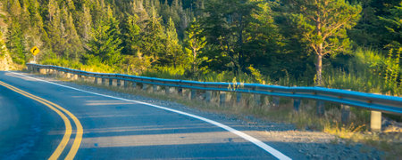 Empty modern highway crossing patagonian forest landscape, rio negro province, patagonia, argentinaの写真素材