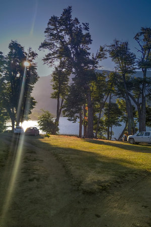 Summer day forest landscape scene at border of lake, patagonia, argentinaの写真素材