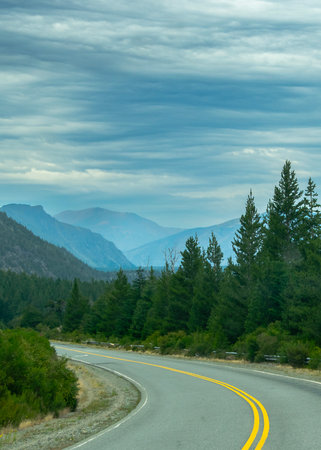 Modern highway crossing patagonian forest landscape, rio negro province, patagonia, argentinaの写真素材