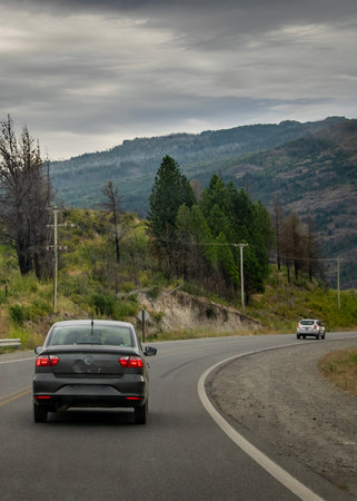 Modern highway crossing patagonian forest landscape, rio negro province, patagonia, argentinaの写真素材