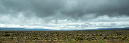 Steppe arid and overcast sky landscape, los altares, chubut province, patagonia, argentinaの写真素材