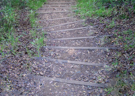 Hiking trail at los alerces national park, a world heritage site located in chubut province, patagonia, argentinaの写真素材