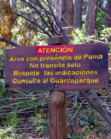 Signpost with spanish text "Area with puma presence, do not walk alone, respect the indications, consult the ranger" los alerces national park, chubut province, argentinaの写真素材