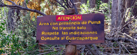 Signpost with spanish text "Area with puma presence, do not walk alone, respect the indications, consult the ranger" los alerces national park, chubut province, argentinaの写真素材
