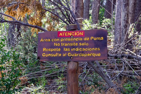 Signpost with spanish text "Area with puma presence, do not walk alone, respect the indications, consult the ranger" los alerces national park, chubut province, argentinaの写真素材