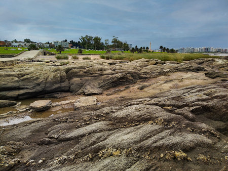Landscape day scne at rocky small islet called "isla del mono" located in buceo neighborhood, montevideo city, uruguayの写真素材