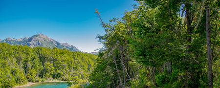 High angle view lake and forest landscape at los alerces national park, a world heritage site located in chubut province, patagonia, argentinaの写真素材