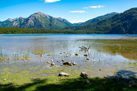 Quiet lake and forest at background landscape at los alerces national park, a world heritage site located in chubut province, patagonia, argentinaの写真素材