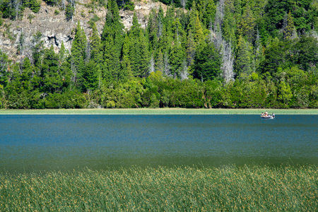 Quiet lake and forest at background landscape at los alerces national park, a world heritage site located in chubut province, patagonia, argentinaの写真素材