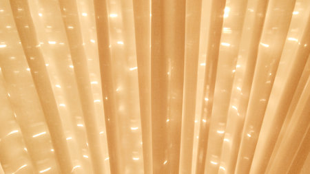 Interior scene depicting closed curtains of apartment living room iluminated by the sun of the sunriseの写真素材