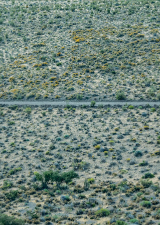 Long distant shot highway crossing big steppe patagonia landscape environment, gualjaina, chubut province, argentinaの写真素材