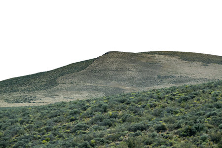 Andes mountains and meadow steppe bushes isolated on blank background photoの写真素材