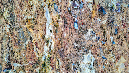 High-angle view showing the textured surface of seaweed spread across the sand, mansa beach, punta del este city, maldonado department, uruguayの写真素材