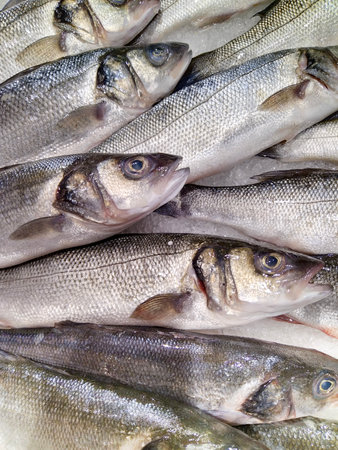 High angle view close-up of several elongated silver fish displayed on ice.