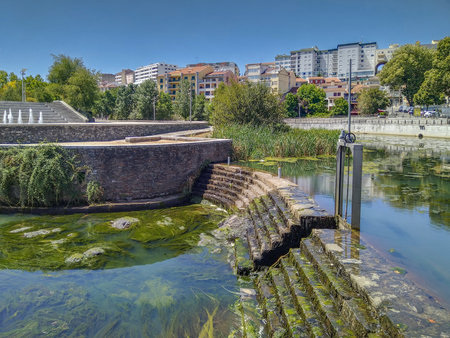 Horizontal shot of a riverbank featuring a stone staircase descending into green moss-covered water, braganca, portugalの写真素材