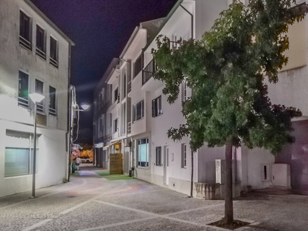 Frontal view of a deserted cobbled street in a residential neighborhood at night, illuminated by artificial street lights, vila pouca de aguiar, portugalの写真素材