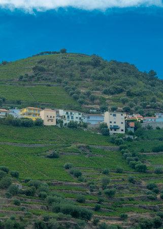 High-angle, long shot of a traditional Portuguese village, nestled in green hilly landscape under sunny sky.の写真素材