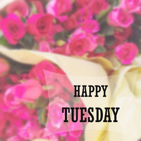 Inspirational quote on blurred backgroundの写真素材