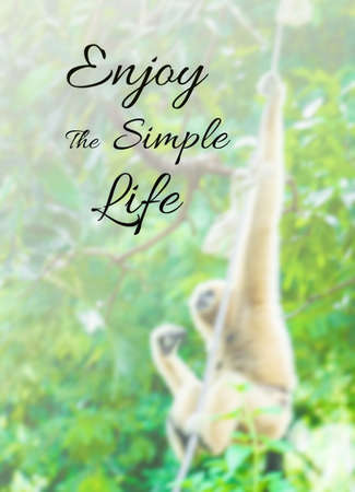 Inspirational quote   motivational background