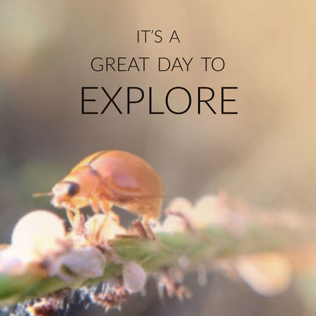 Inspirational quote on blurred backgroundの写真素材