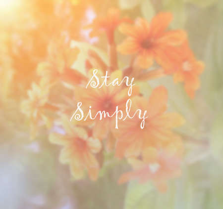 Inspirational quote  motivational backgroundの写真素材