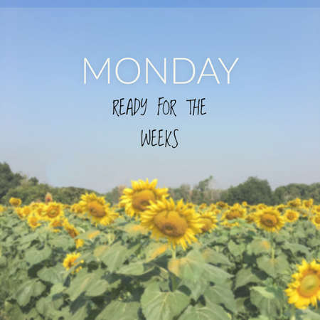 Inspirational quote on blurred flower backgroundの写真素材