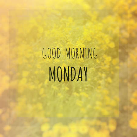 Inspirational quote on blurred flower backgroundの写真素材