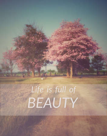 Inspirational quote & motivational backgroundの写真素材