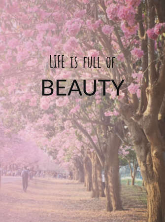 Inspiration quote & motivational backgroundの写真素材