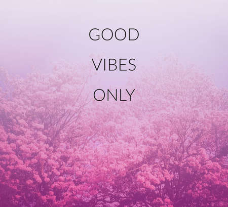 Inspiration quote & motivational backgroundの写真素材