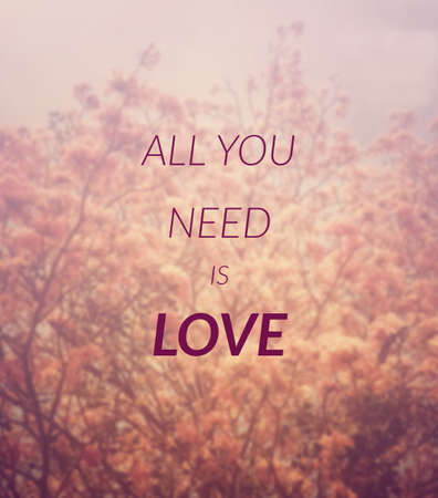 Inspiration quote & motivational backgroundの写真素材
