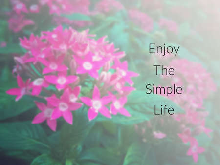 Inspirational quote & motivational background