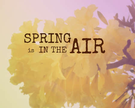 Inspirational quote & motivational backgroundの写真素材