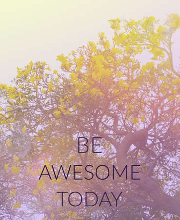 Inspirational quote & motivational backgroundの写真素材