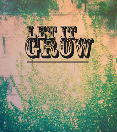 Inspirational quote & motivational backgroundの写真素材