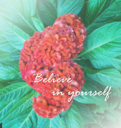 Inspirational quote & motivational backgroundの写真素材