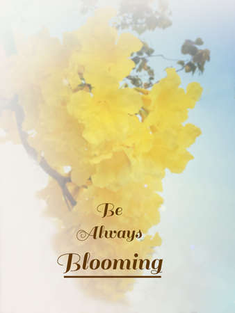Inspirational quote & motivational background