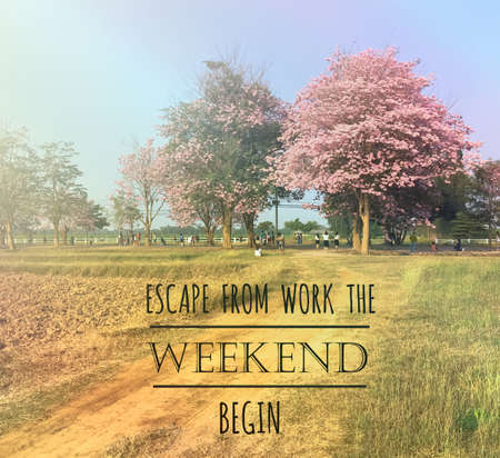 Inspirational quote & motivational backgroundの写真素材