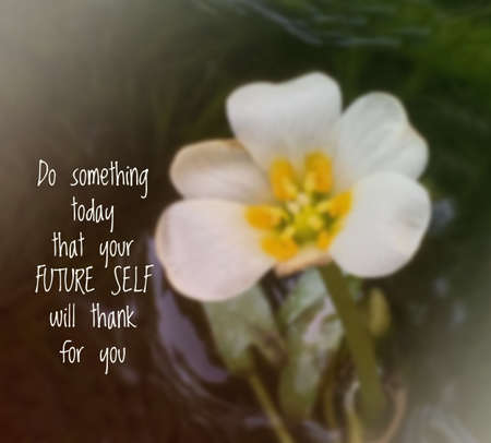 Inspirational quote & motivational backgroundの写真素材