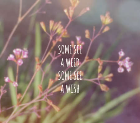 Inspirational quote & motivational backgroundの写真素材